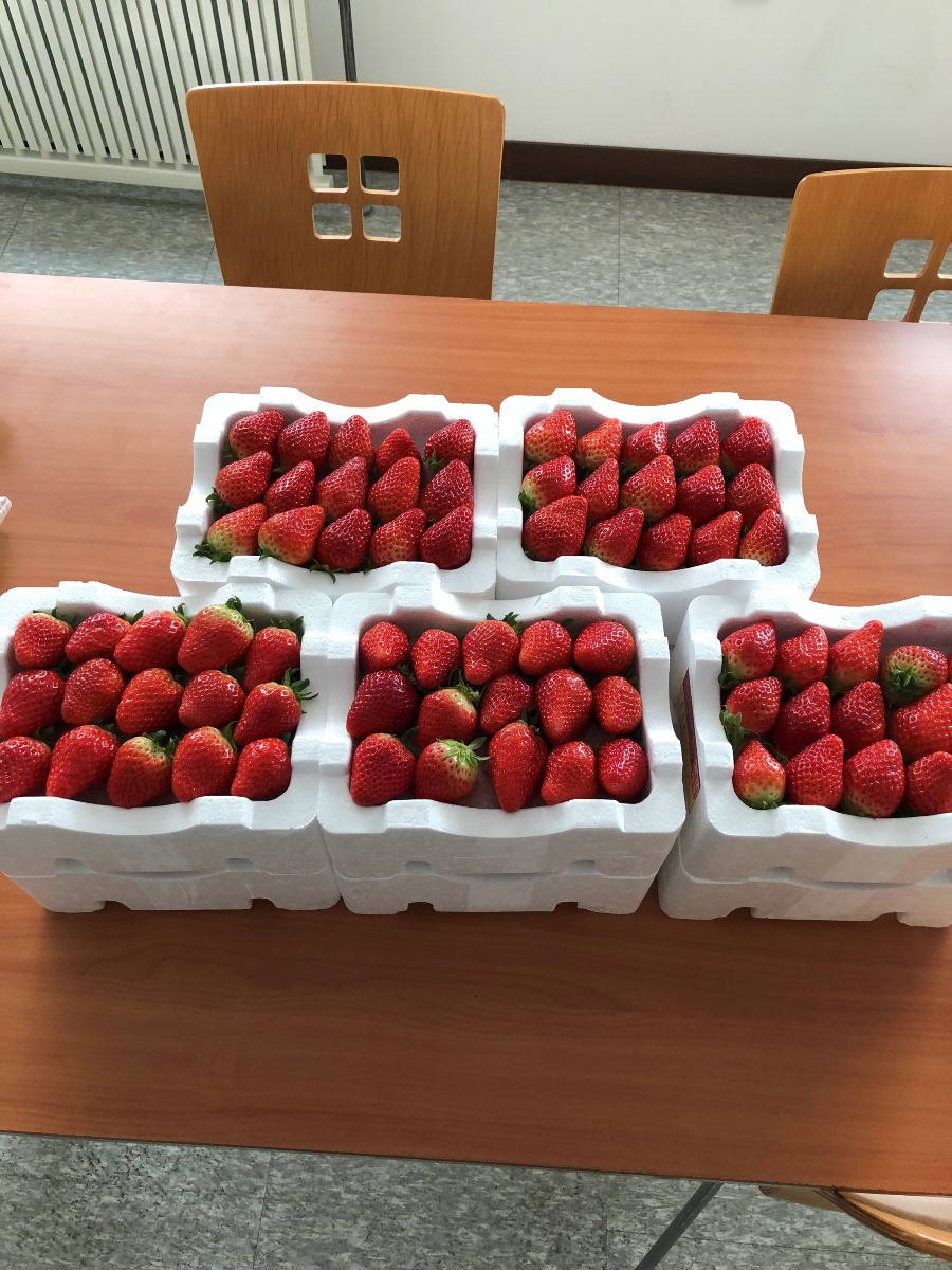 KakaoTalk_20190228_114125605.jpg