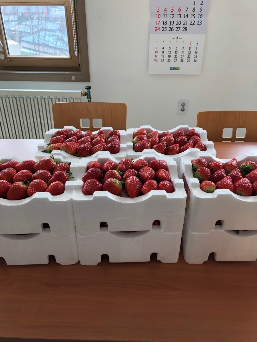 KakaoTalk_20190228_114126773.jpg