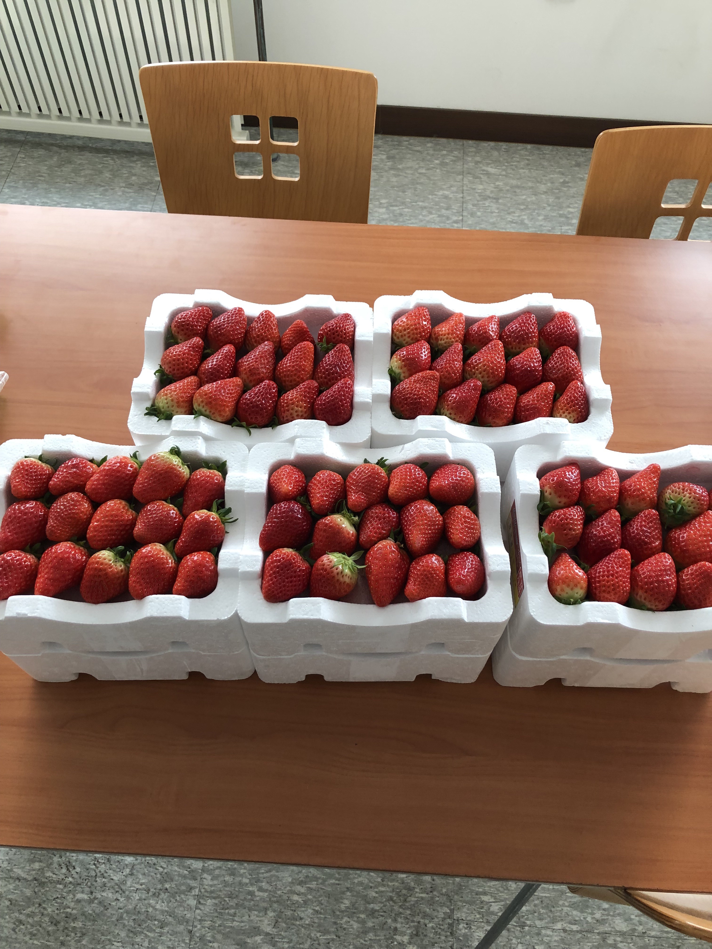 포토 관련이미지