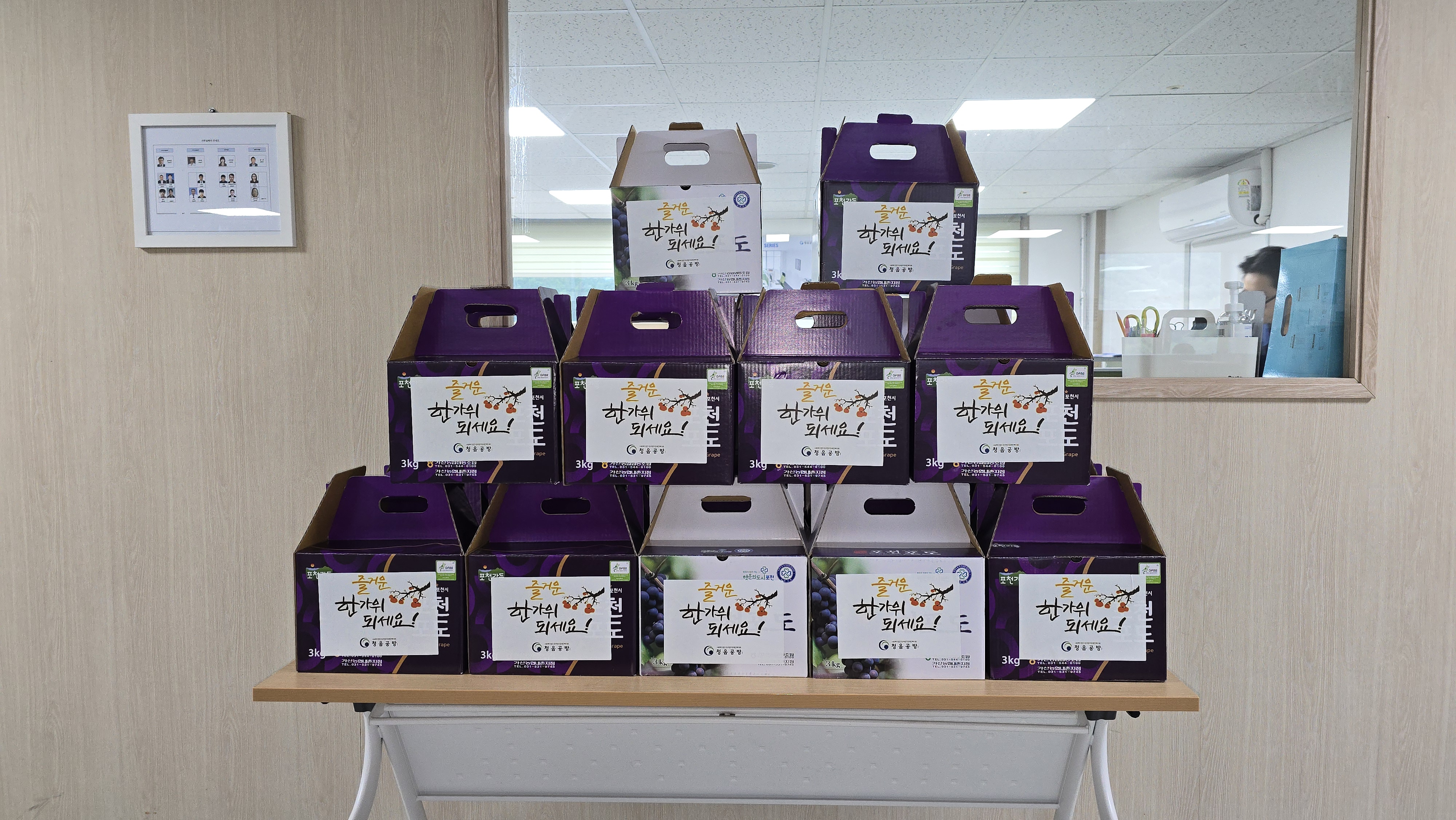 포토 관련이미지