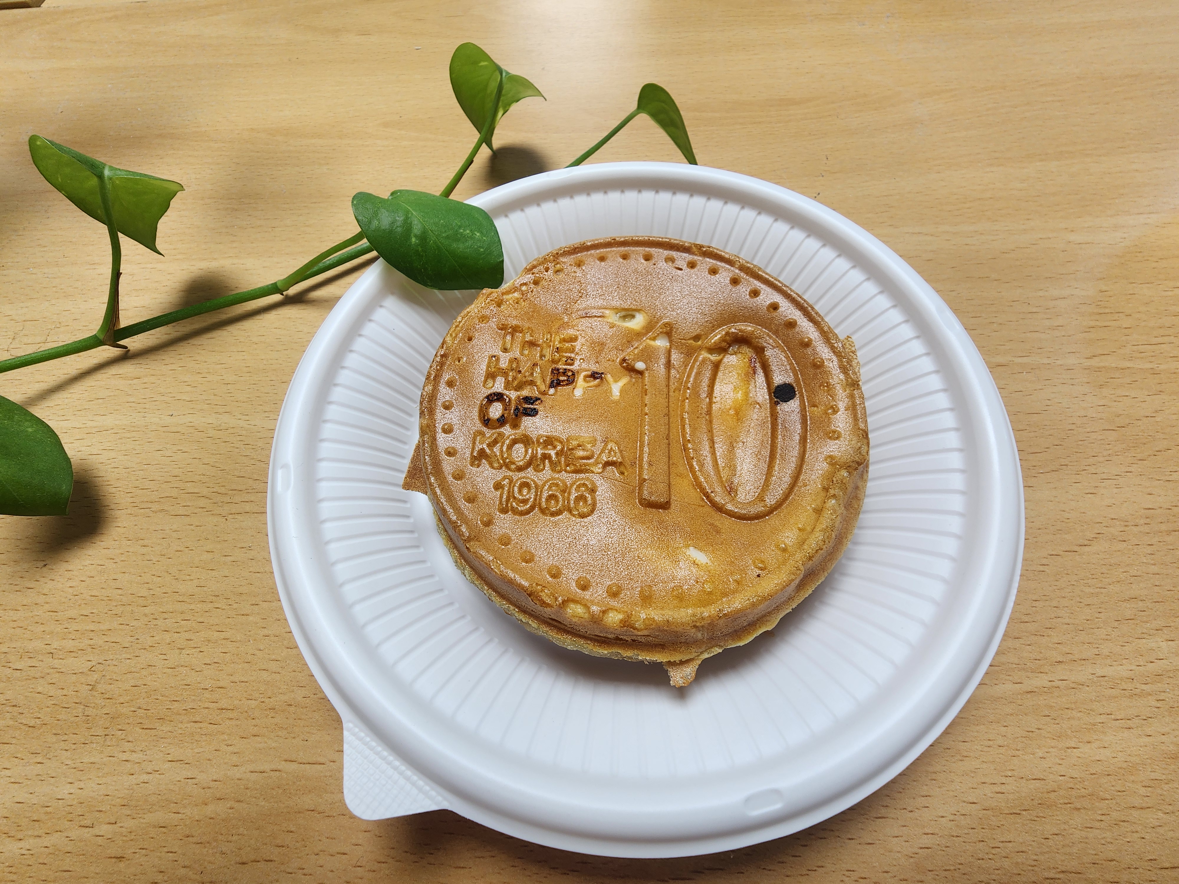 포토 관련이미지